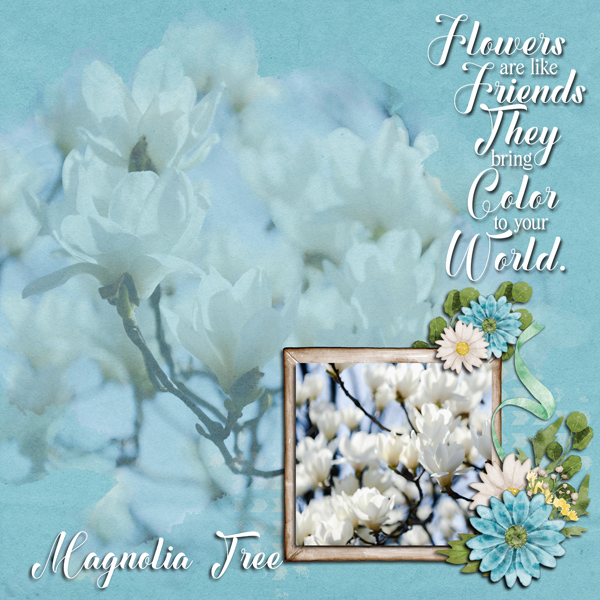Magnolia Tree