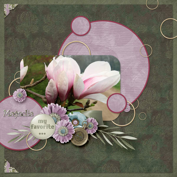Magnolia
