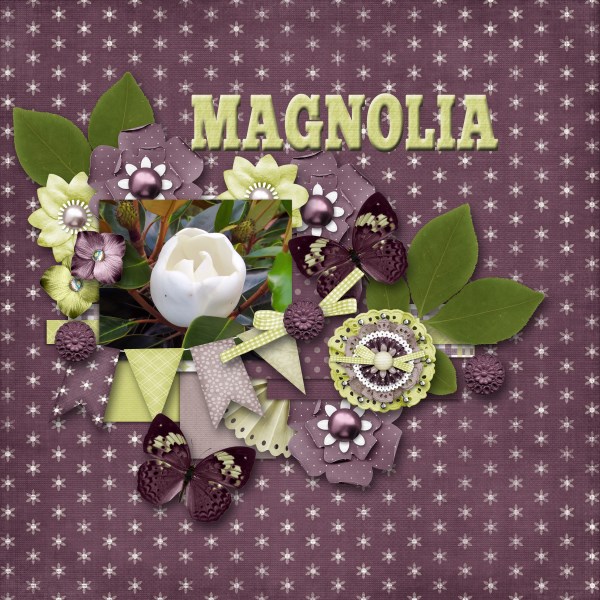 Magnolia