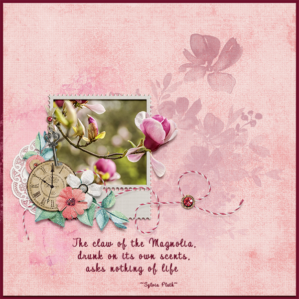 Magnolia