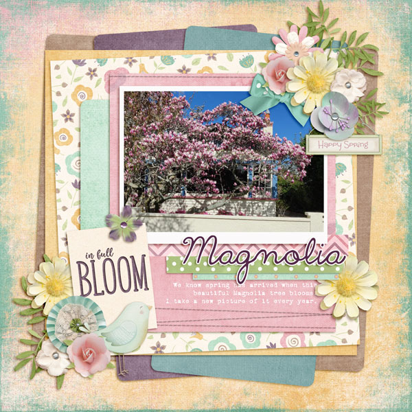 Magnolia