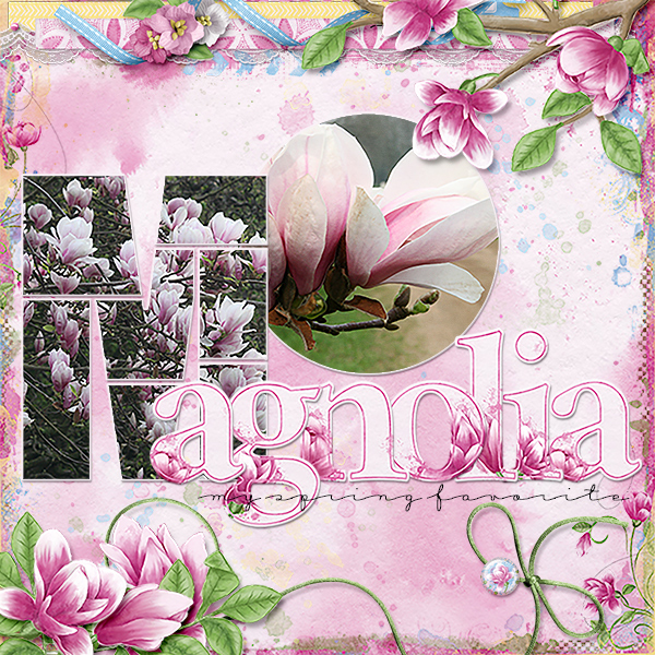 Magnolia