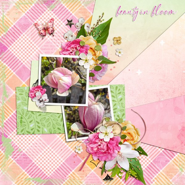 Magnolias