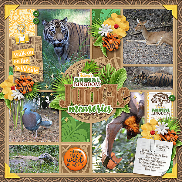 Maharajah Jungle Trek