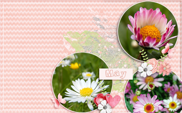 mai 2016