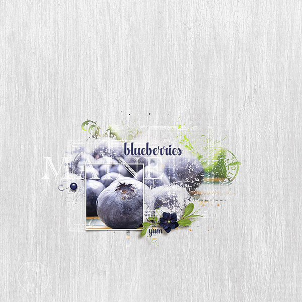 Maine Blueberries