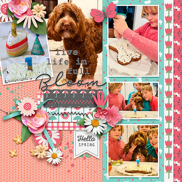 Maisie B turns 1
