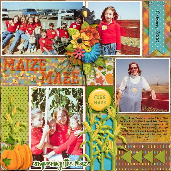 Maize Maze
