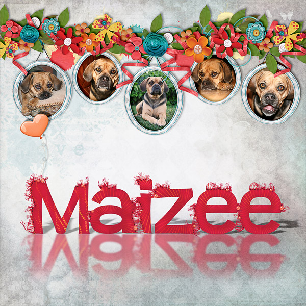 Maizee