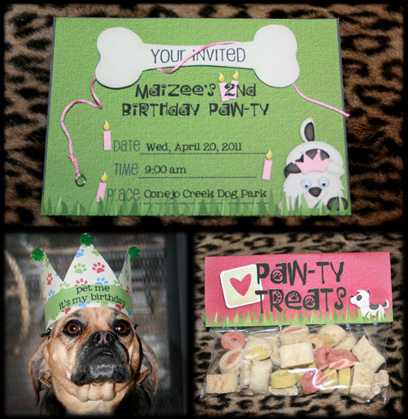 Maizee's Pawty