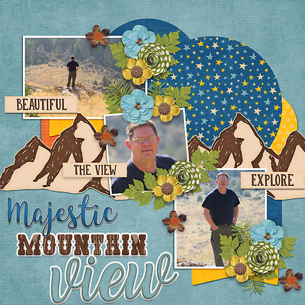 Majestic Mountain View