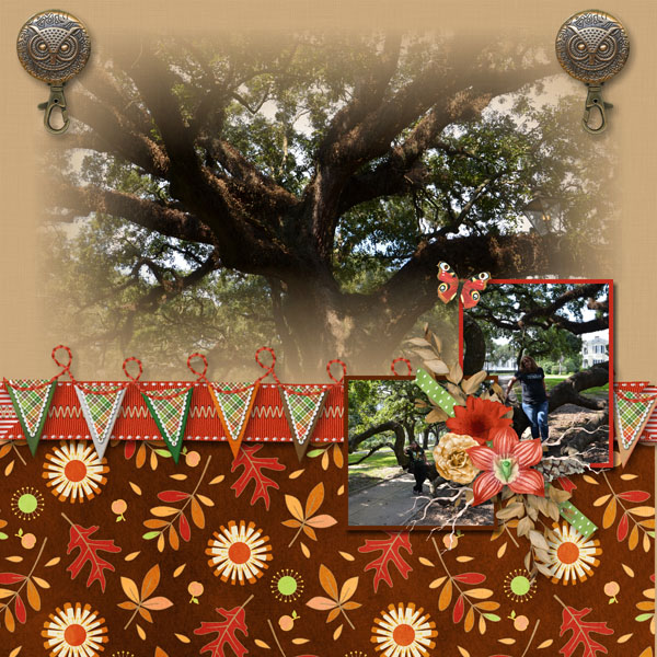 Majestic Oaks