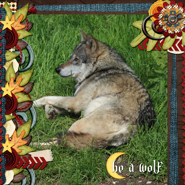 Majestic Wolf
