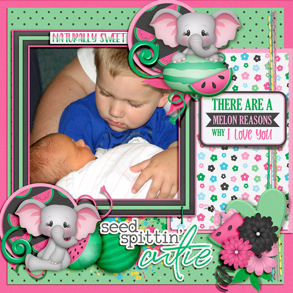 Makaylas Birth
