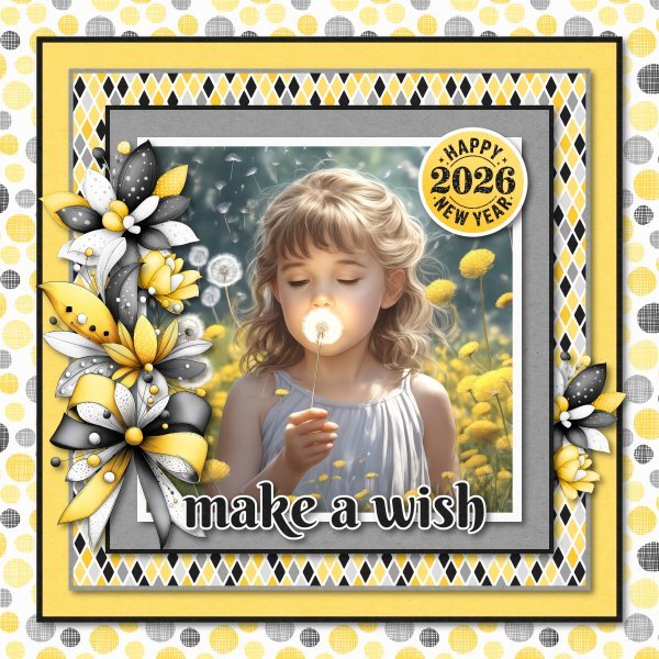 make a wish 2026.jpg