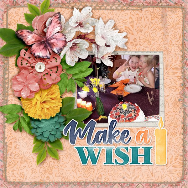 Make-a-wish.jpg
