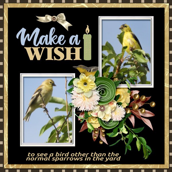 make a wish small.jpg