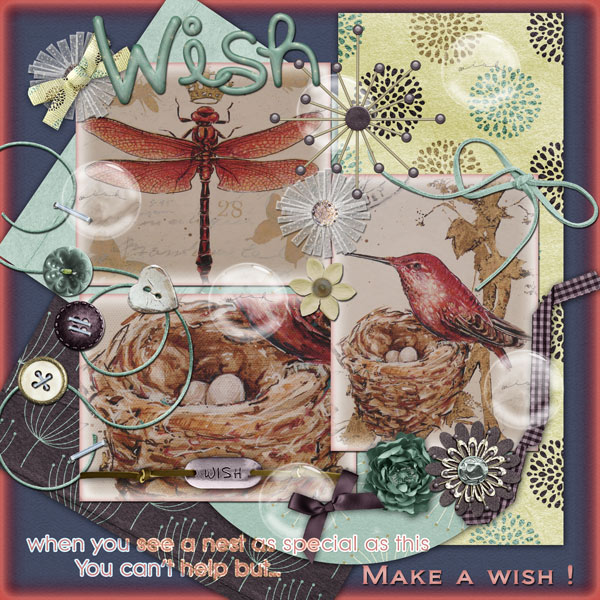 Make A Wish
