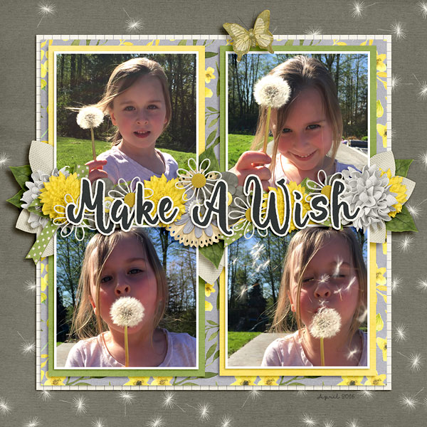 Make a Wish