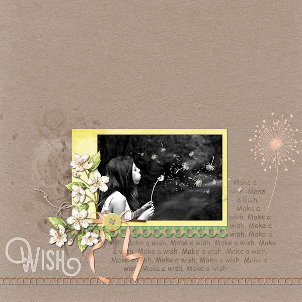 Make a wish