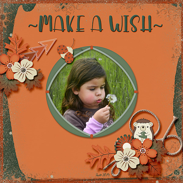 Make a Wish