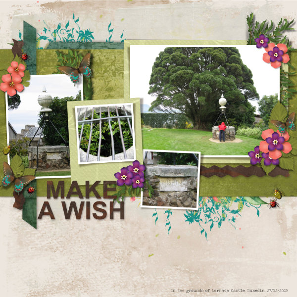 Make a Wish