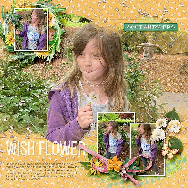 Make a Wish