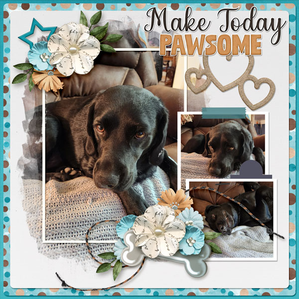 Make Today Pawsitive