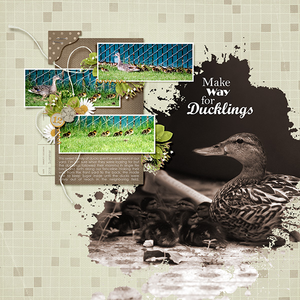 Make Way For Ducklings
