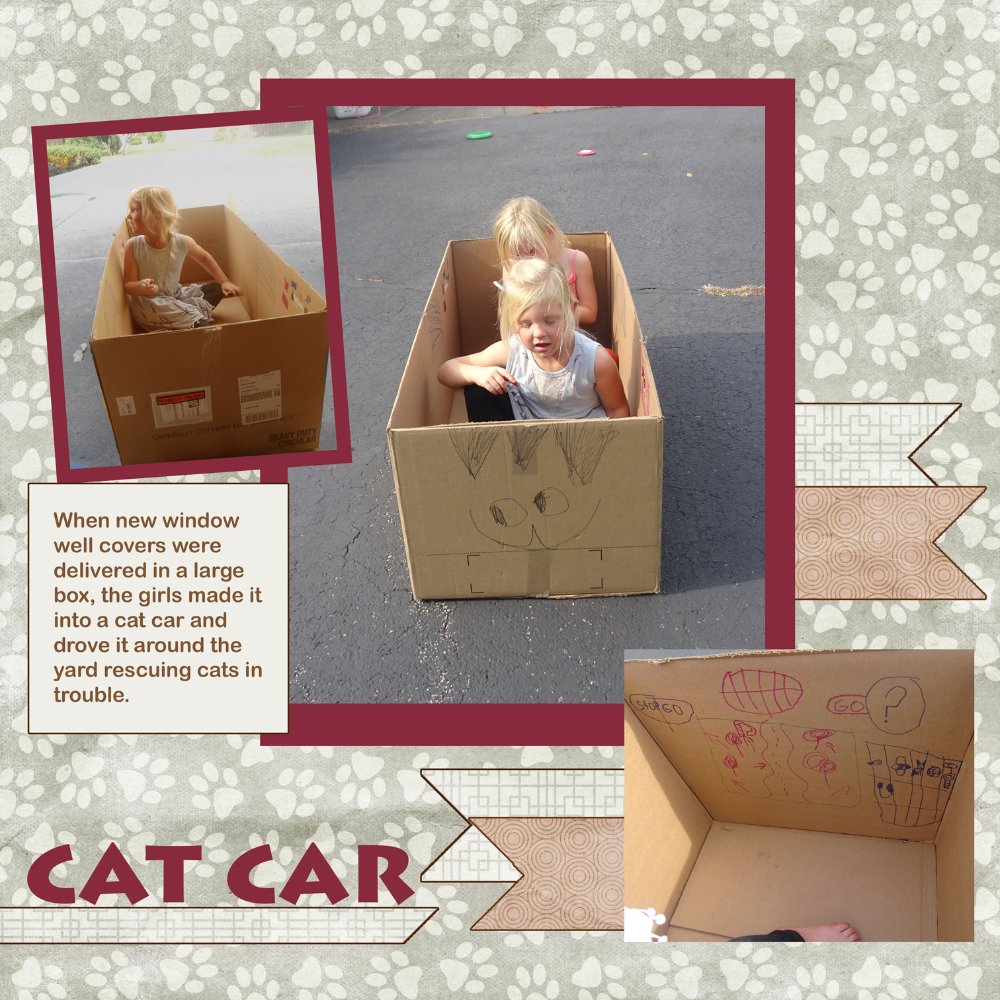 Making a Cat Car