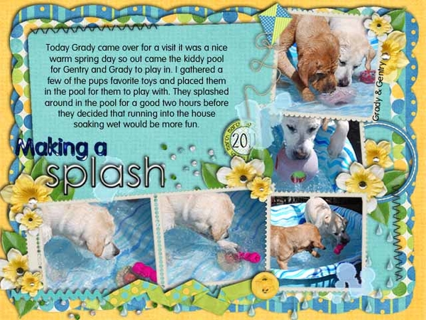 Making A Splash