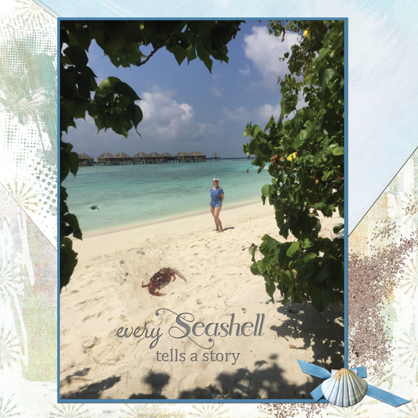 Malediven Seashell