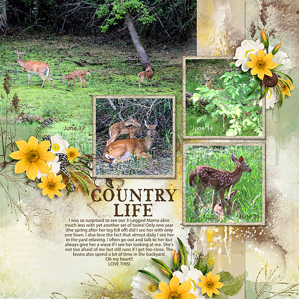 Mama with Fawns