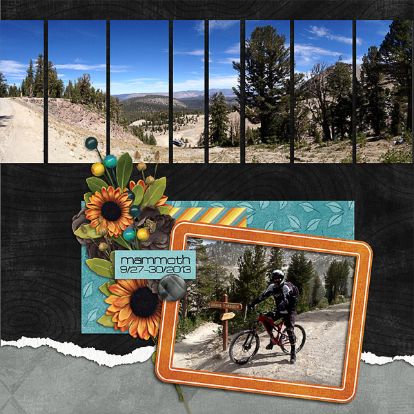 Mammoth 2013