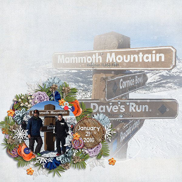 Mammoth Again