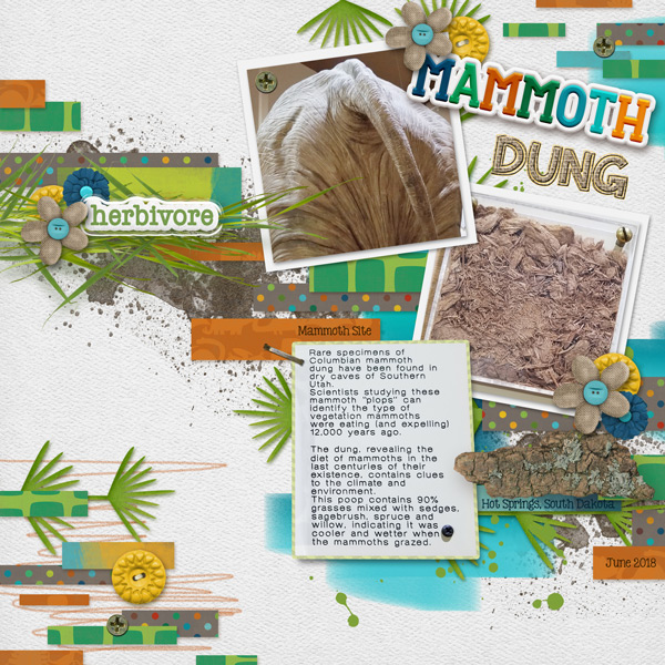 Mammoth Dung