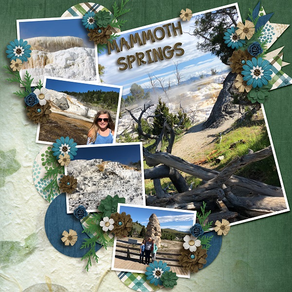 Mammoth Hot Springs
