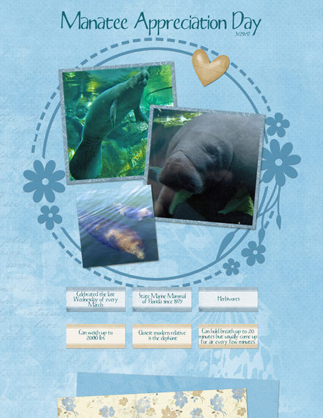 Manatee Appreciation Day