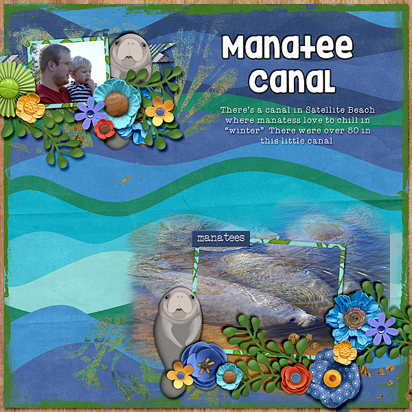 manatee-canal