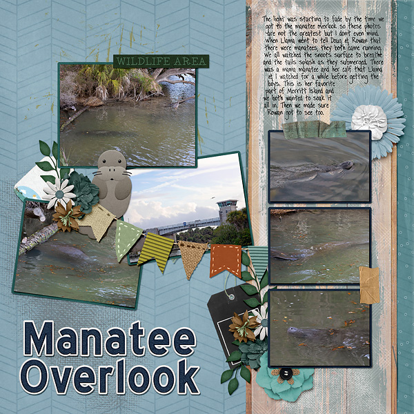 manatee overlook