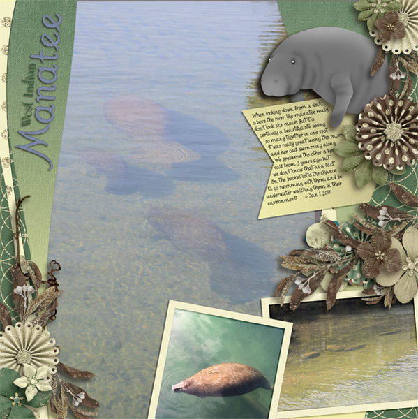 Manatee