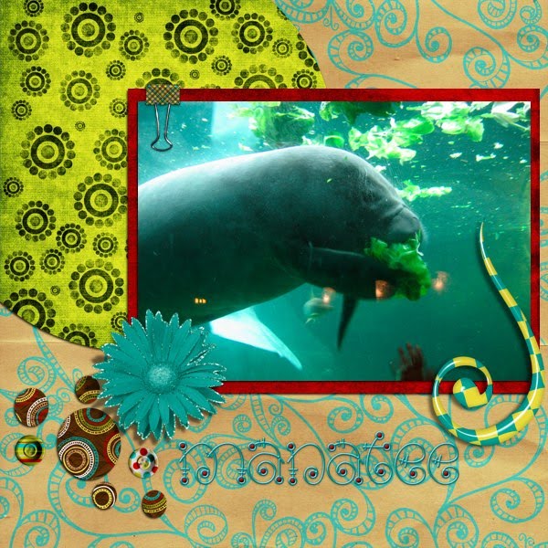 Manatee