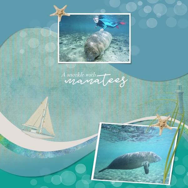 Manatees
