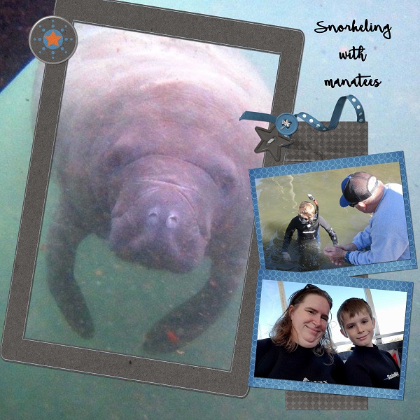 manatees