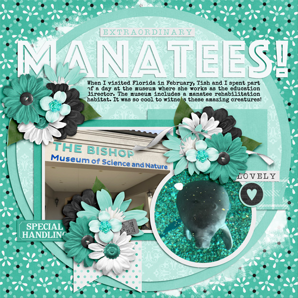 Manatees!