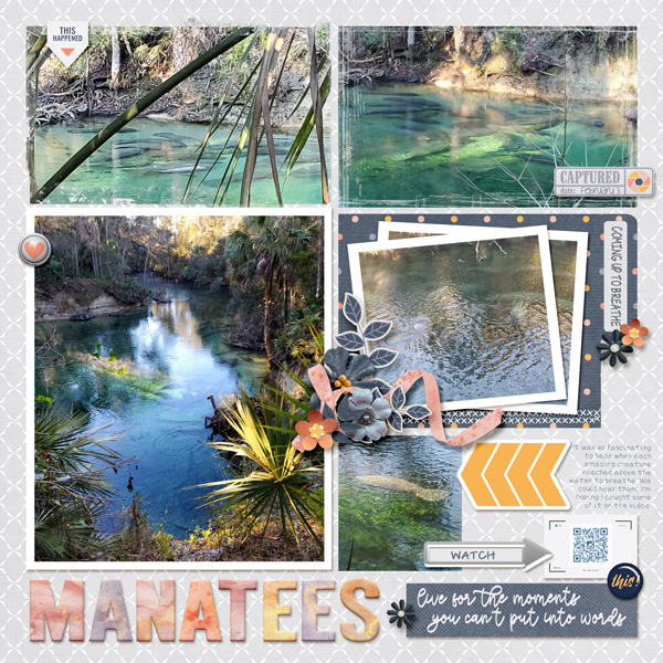 Manatees