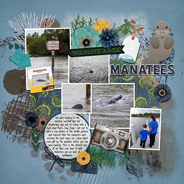 manatees