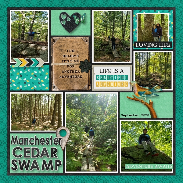 Manchester Cedar Swamp - September 2020