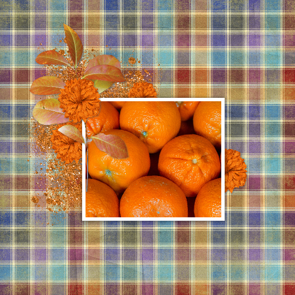 mandarin_oranges