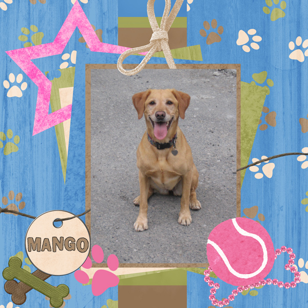Mango